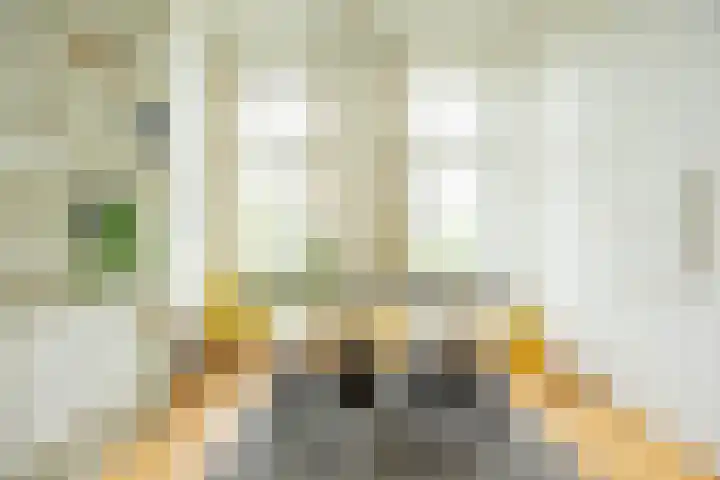 Langestraat 250 Groningen thumbnail 13