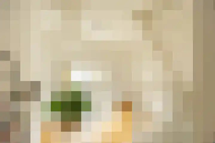 Langestraat 250 Groningen thumbnail 17