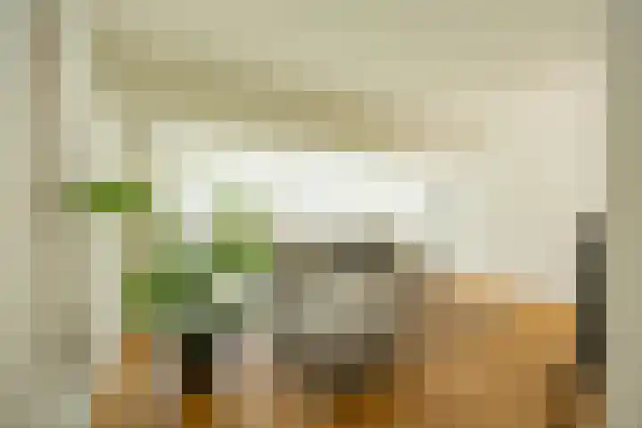 Langestraat 250 Groningen thumbnail 20