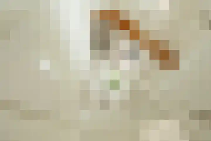 Langestraat 250 Groningen thumbnail 22