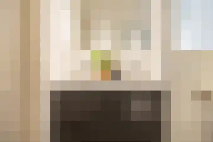 Langestraat 250 Groningen thumbnail 29