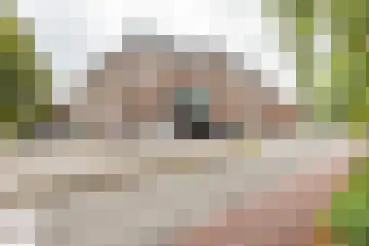 Langestraat 250 Groningen thumbnail 32