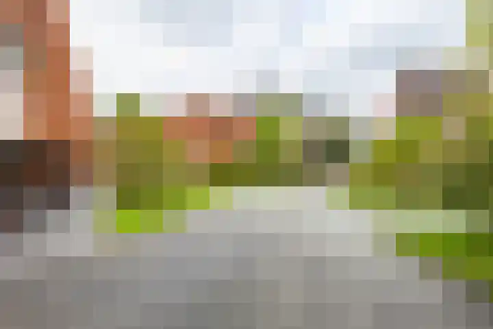 Langestraat 250 Groningen thumbnail 34