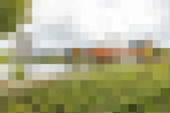 Langestraat 250 Groningen thumbnail 35