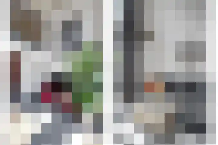 Langestraat 263 's-Gravenzande thumbnail 8
