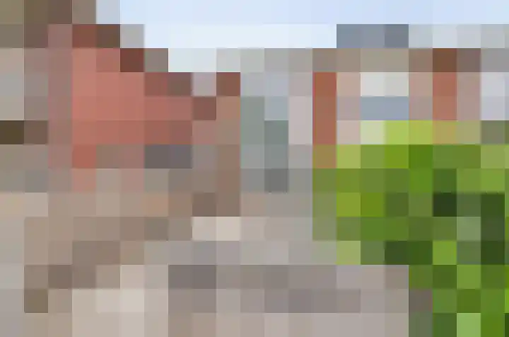 Langestraat 269 's-Gravenzande thumbnail 17
