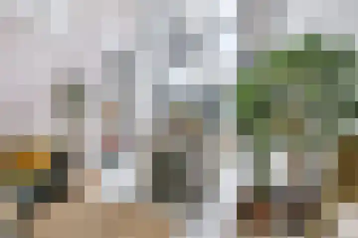 Langestraat 269 's-Gravenzande thumbnail 7