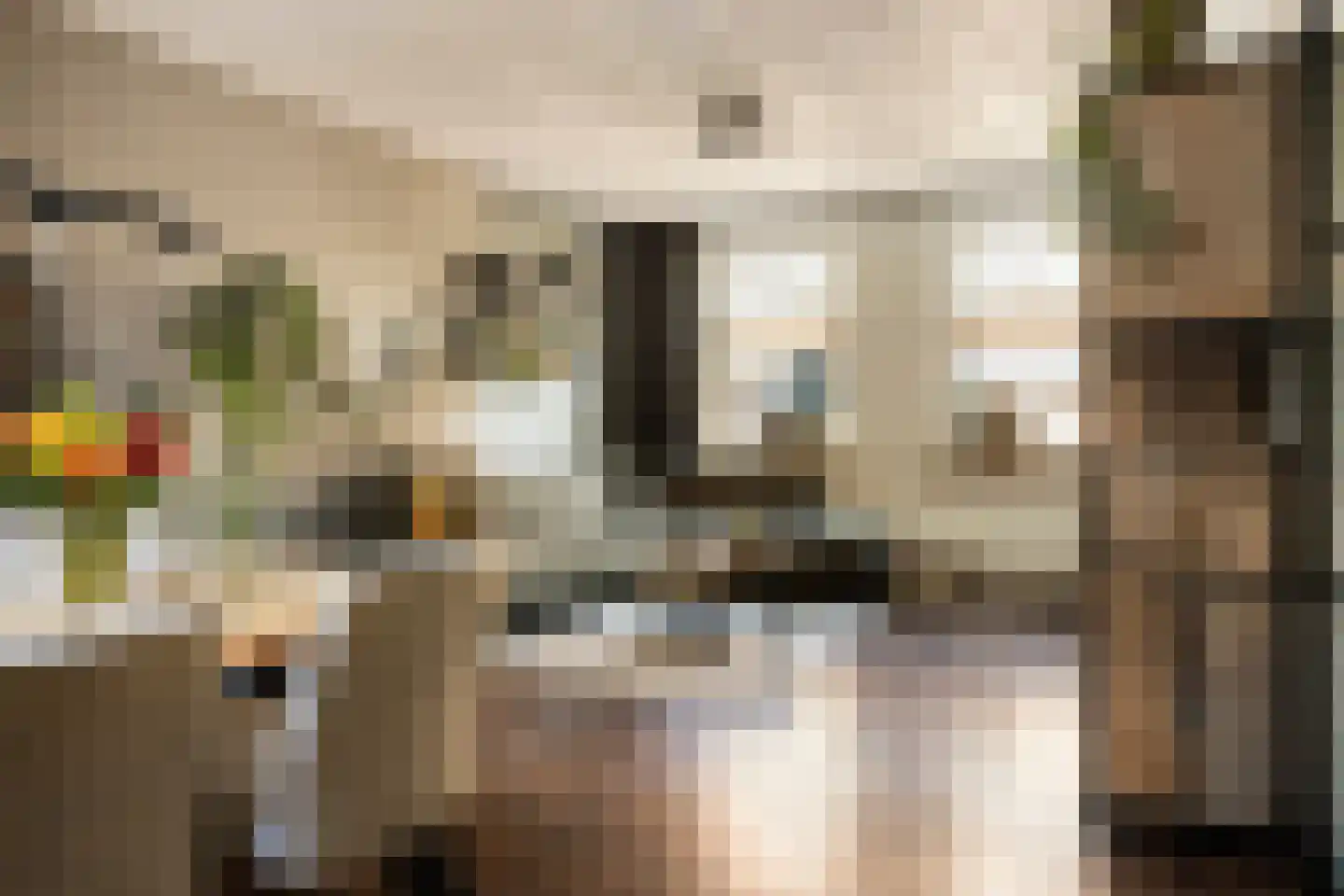 Langestraat 27 a Poortvliet thumbnail 8