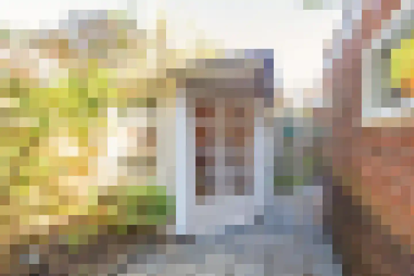 Langestraat 28 A Leiden thumbnail 33