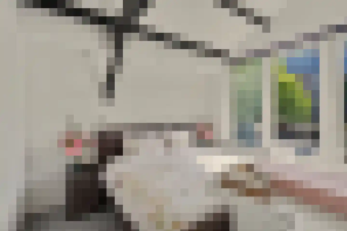 Langestraat 29 Brielle thumbnail 28