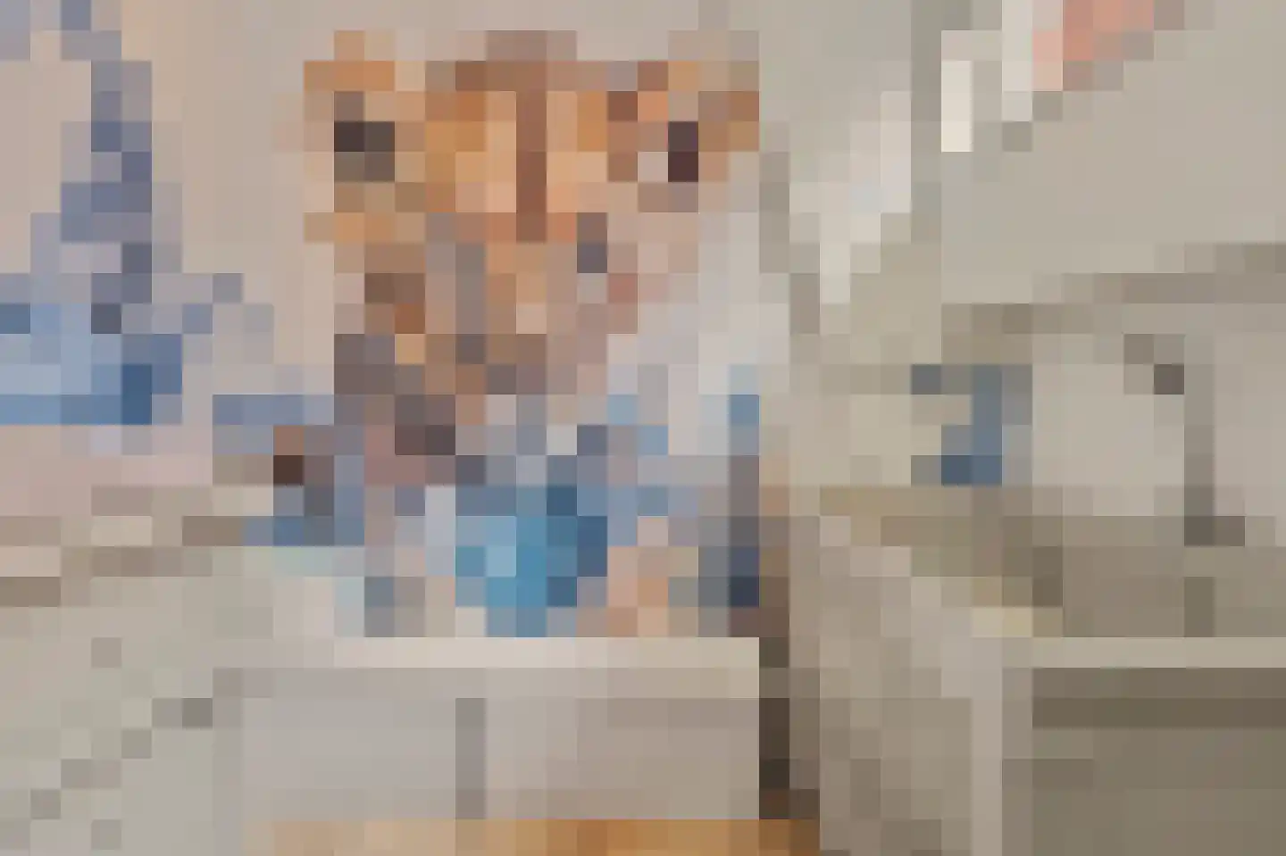 Langestraat 29 Brielle thumbnail 33