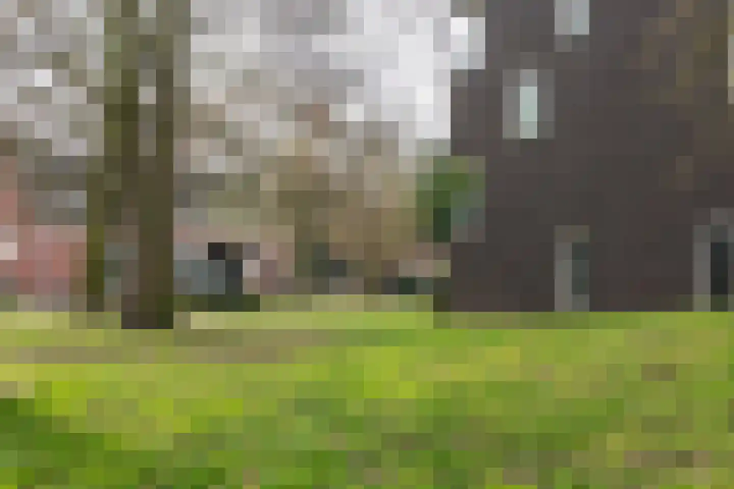 Langestraat 30 Tilburg thumbnail 26
