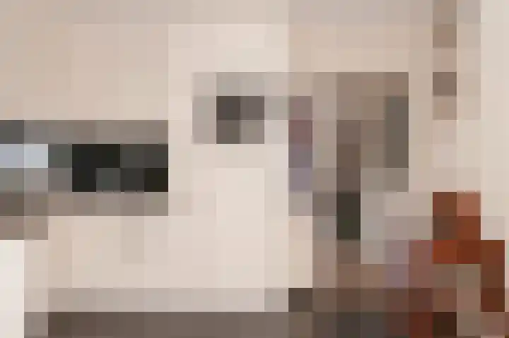 Langestraat 31 Heerewaarden thumbnail 13
