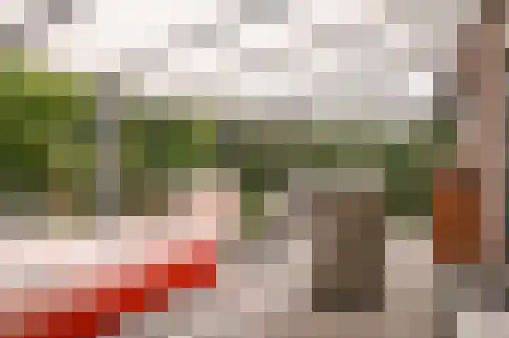 Langestraat 31 Heerewaarden thumbnail 23