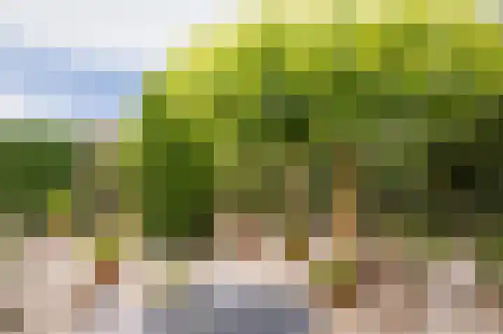 Langestraat 31 Heerewaarden thumbnail 25