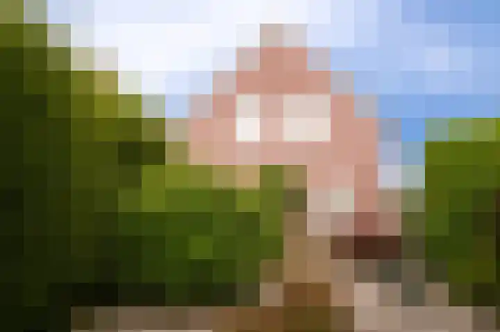 Langestraat 31 Heerewaarden thumbnail 30