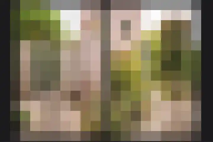 Langestraat 31 Heerewaarden thumbnail 31