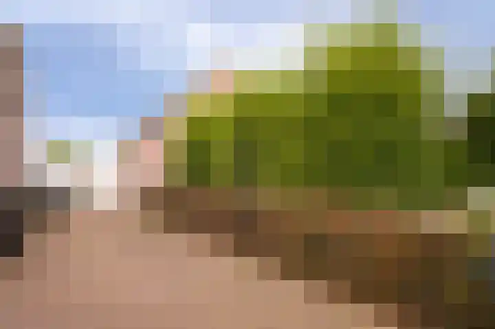 Langestraat 31 Heerewaarden thumbnail 34