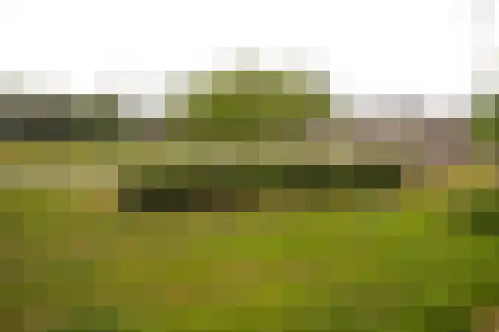 Langestraat 31 Heerewaarden thumbnail 38