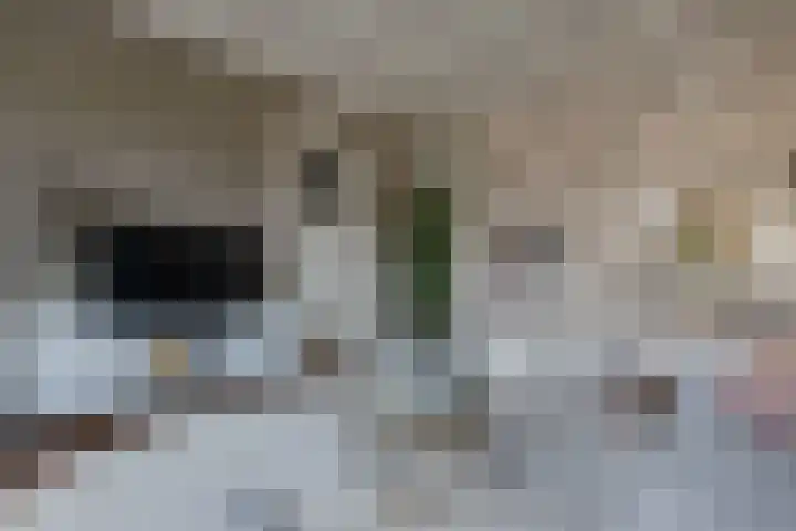 Langestraat 32 Huizen thumbnail 10