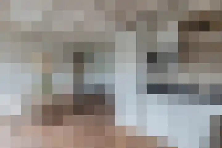Langestraat 32 Huizen thumbnail 17
