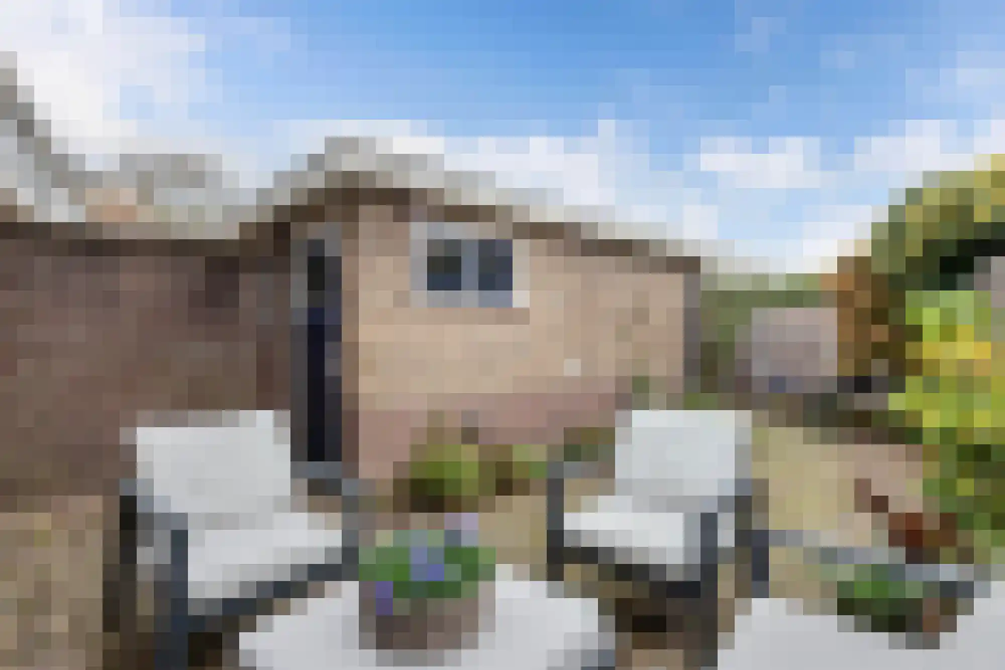 Langestraat 32 Huizen thumbnail 23