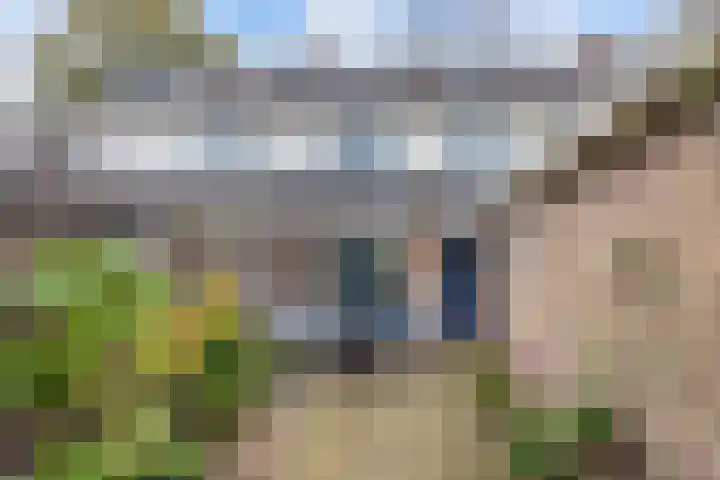 Langestraat 32 Huizen thumbnail 27