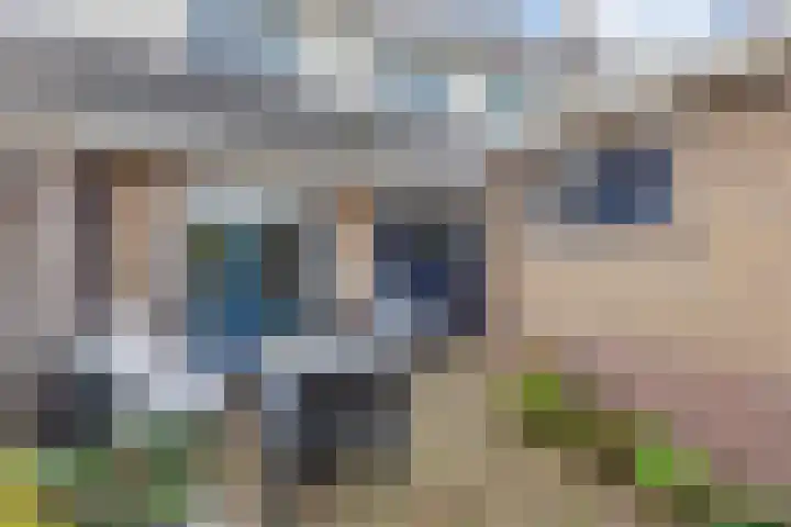 Langestraat 32 Huizen thumbnail 28