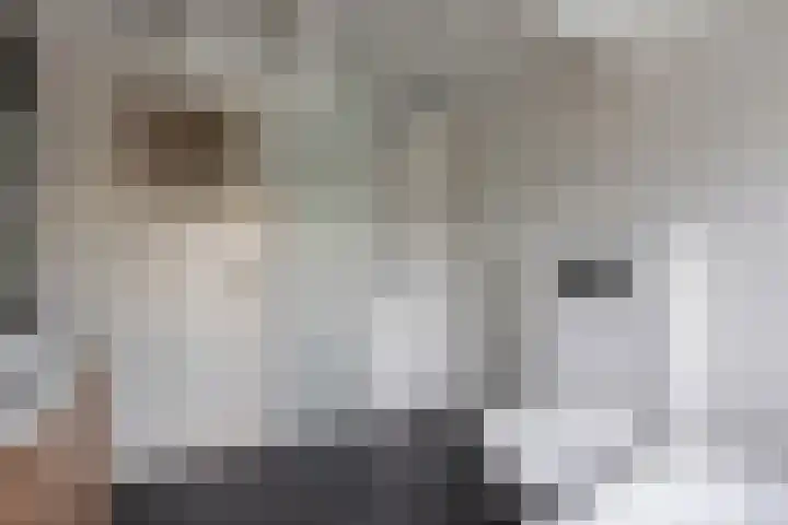 Langestraat 32 Huizen thumbnail 34