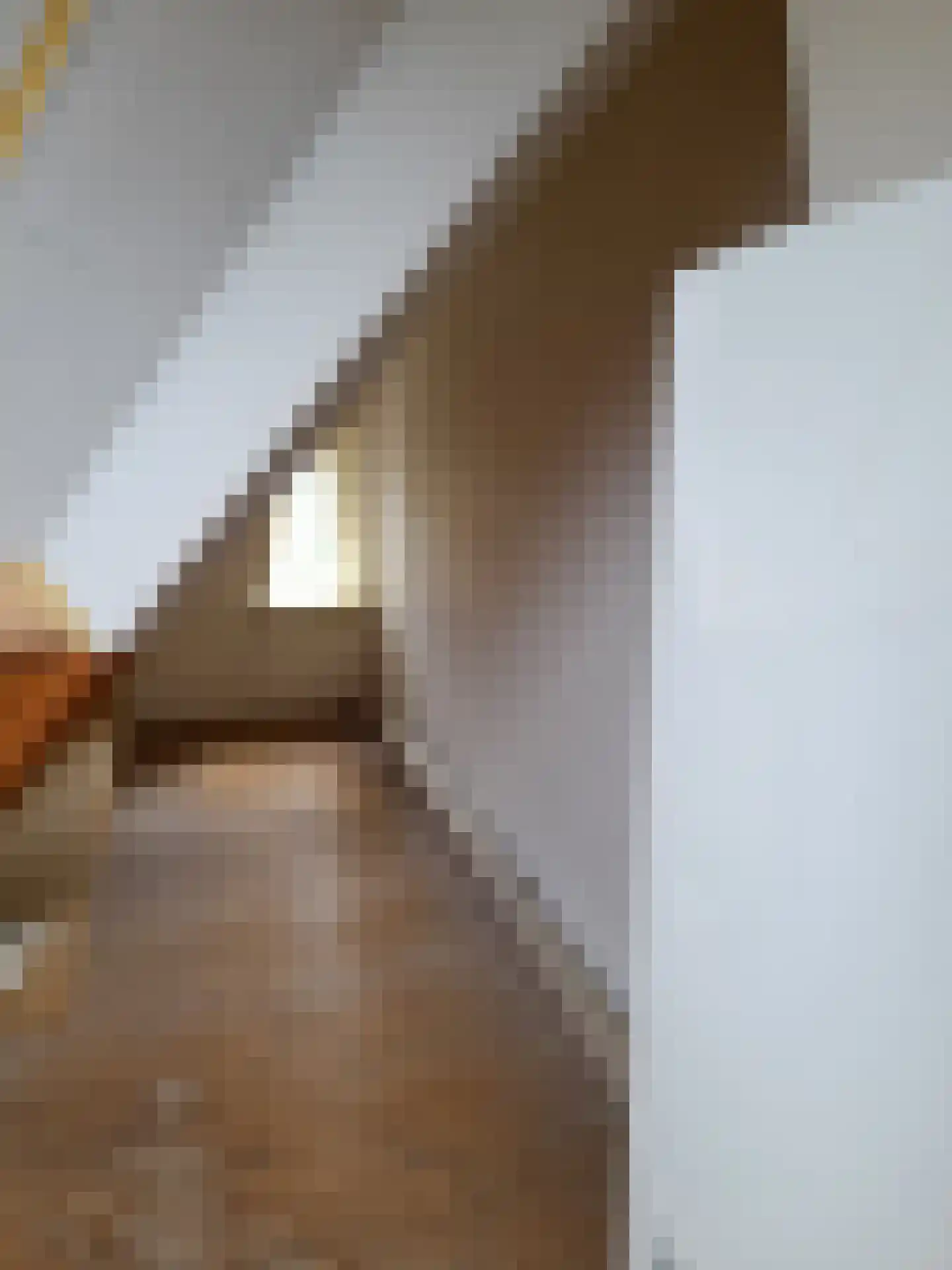 Langestraat 34 Huizen thumbnail 12