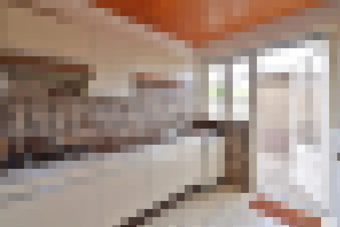 Langestraat 34 Huizen thumbnail 6