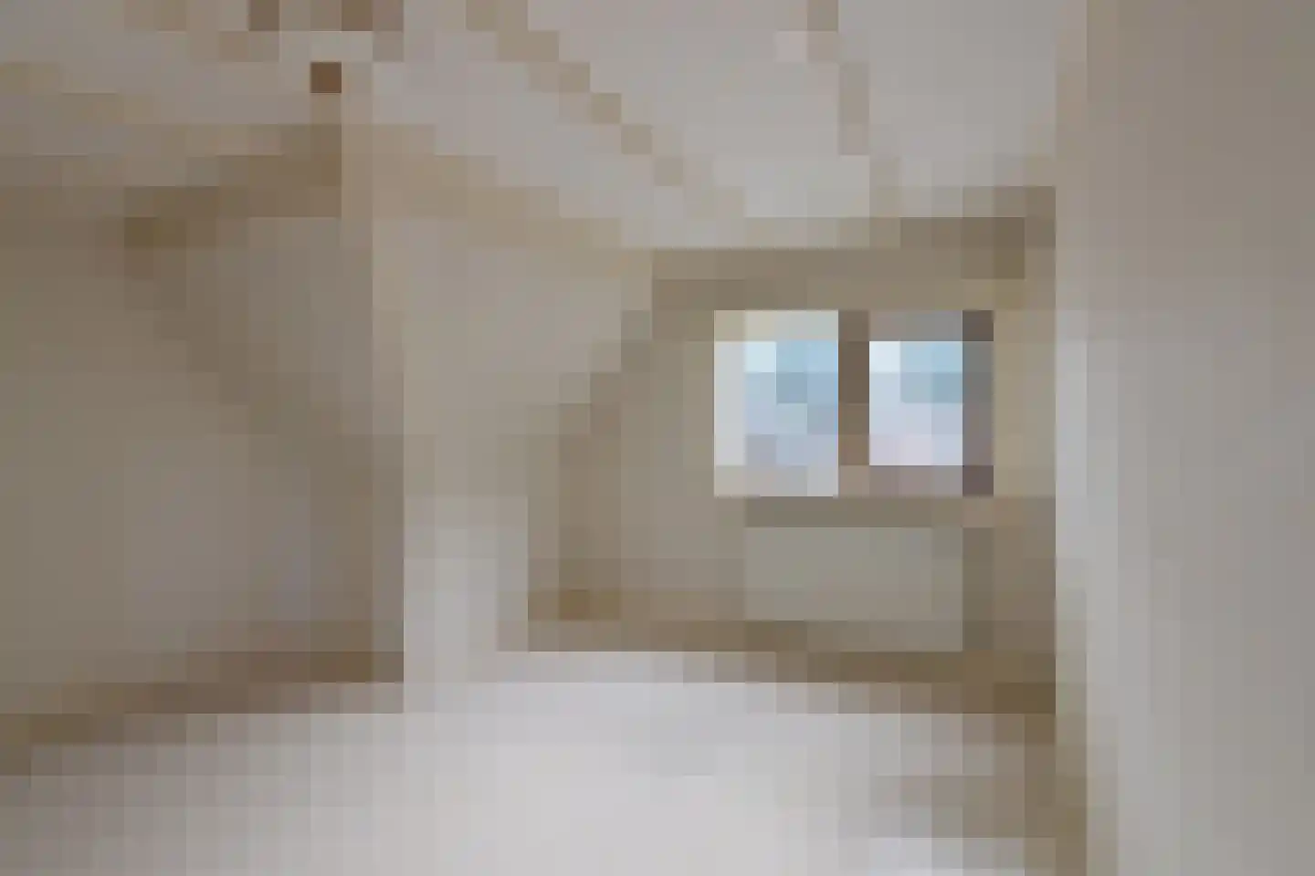 Langestraat 34 Huizen thumbnail 8