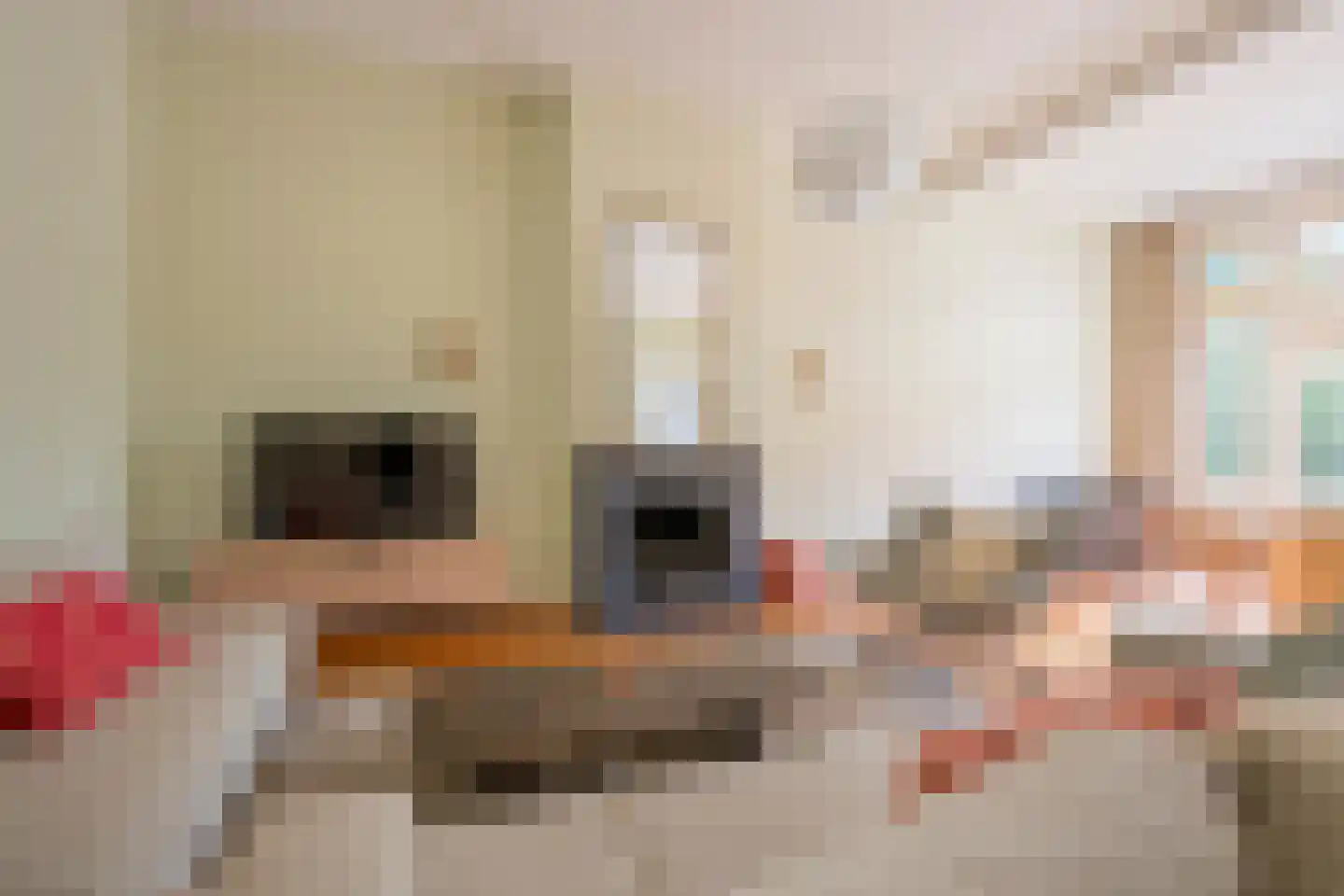 Langestraat 35 Nijkerk thumbnail 21