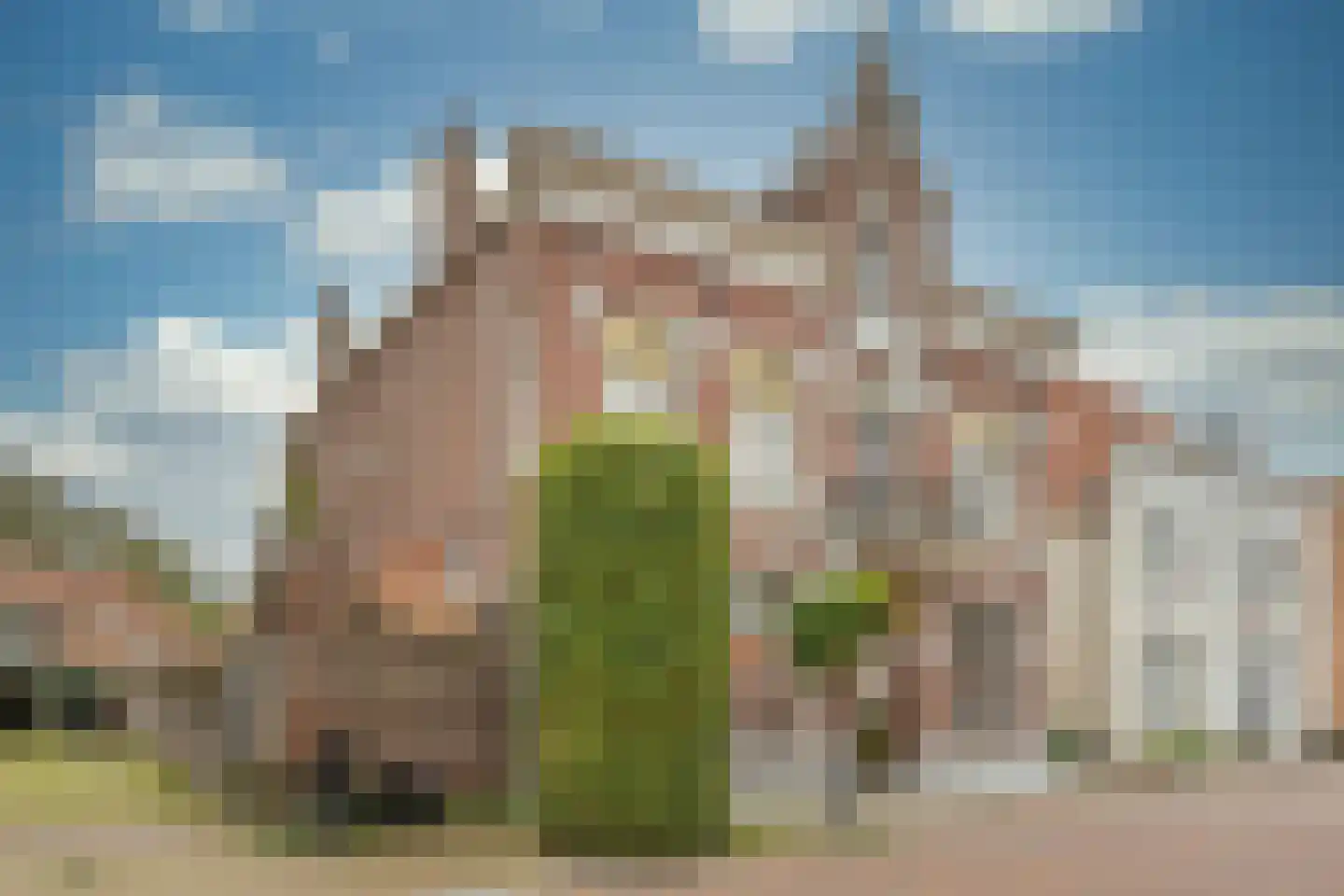 Langestraat 35 Nijkerk thumbnail 5