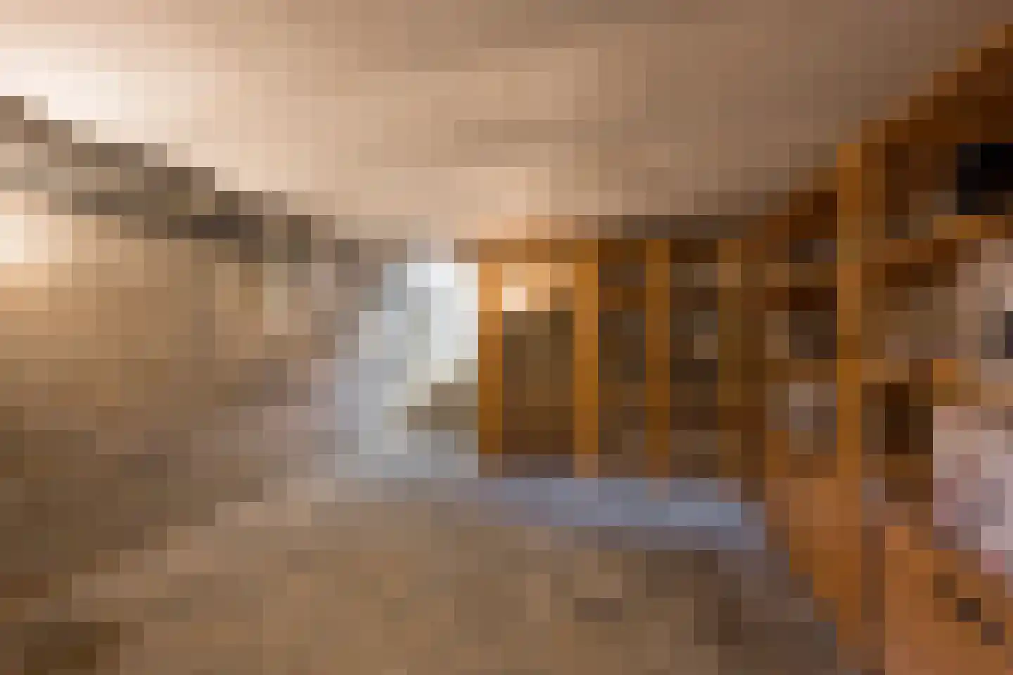 Langestraat 35 Nijkerk thumbnail 67