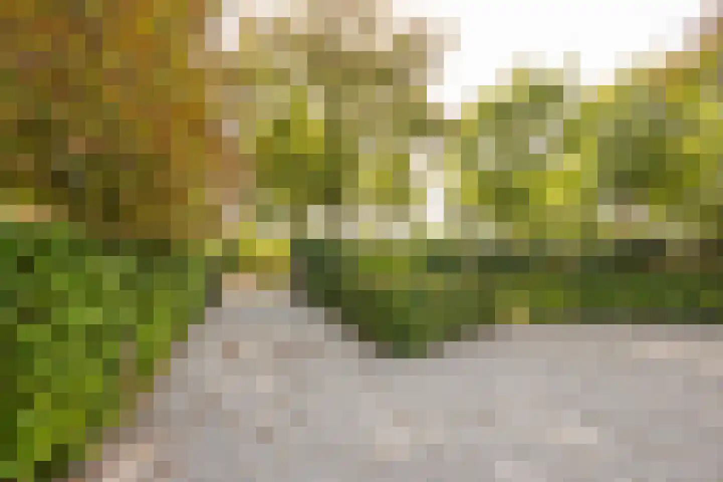 Langestraat 35 Nijkerk thumbnail 71