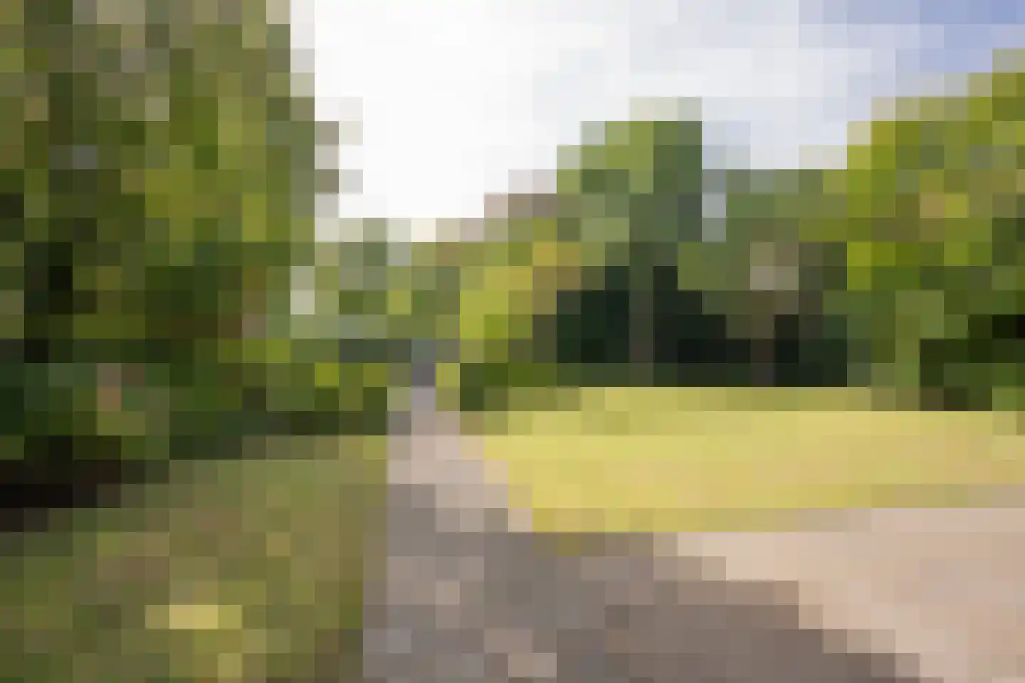 Langestraat 35 Nijkerk thumbnail 73