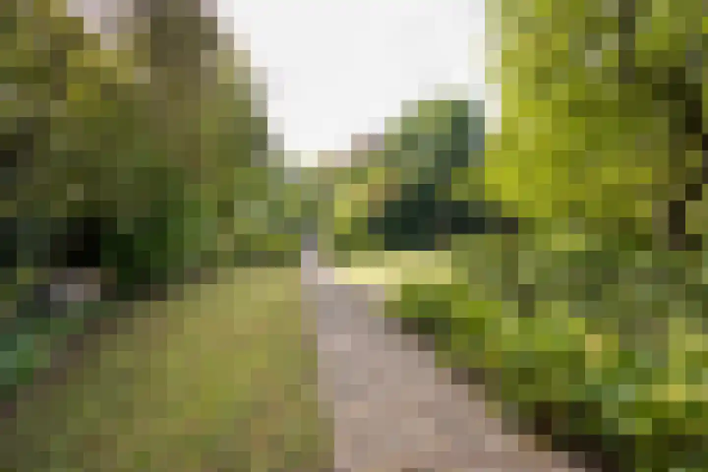 Langestraat 35 Nijkerk thumbnail 74