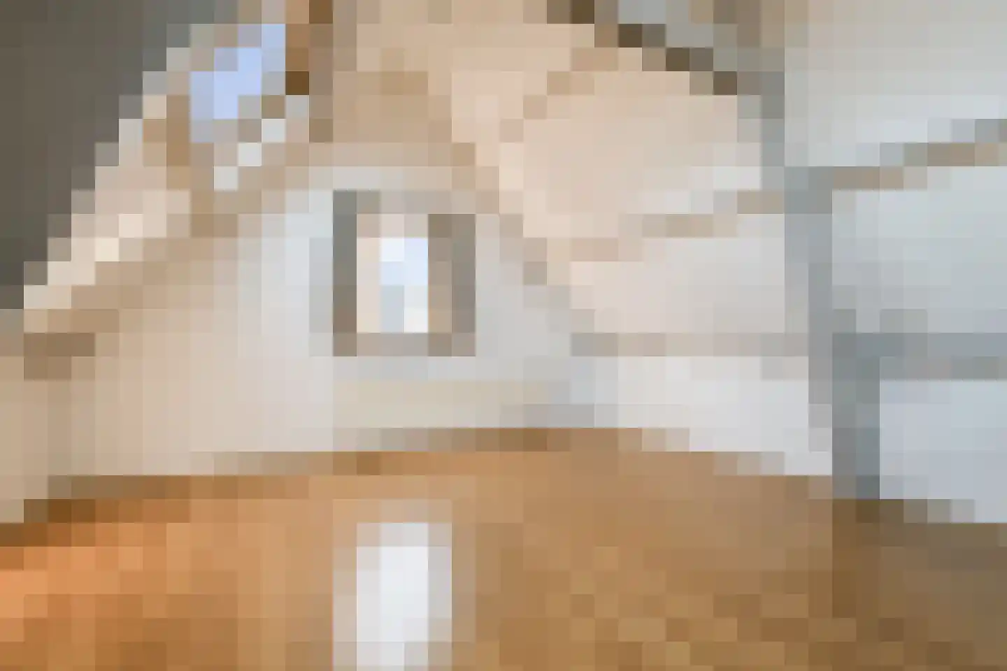 Langestraat 36 Leiden thumbnail 22