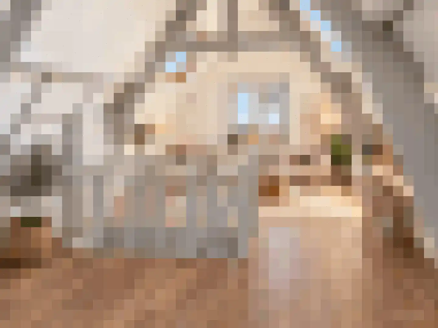 Langestraat 36 Leiden thumbnail 23