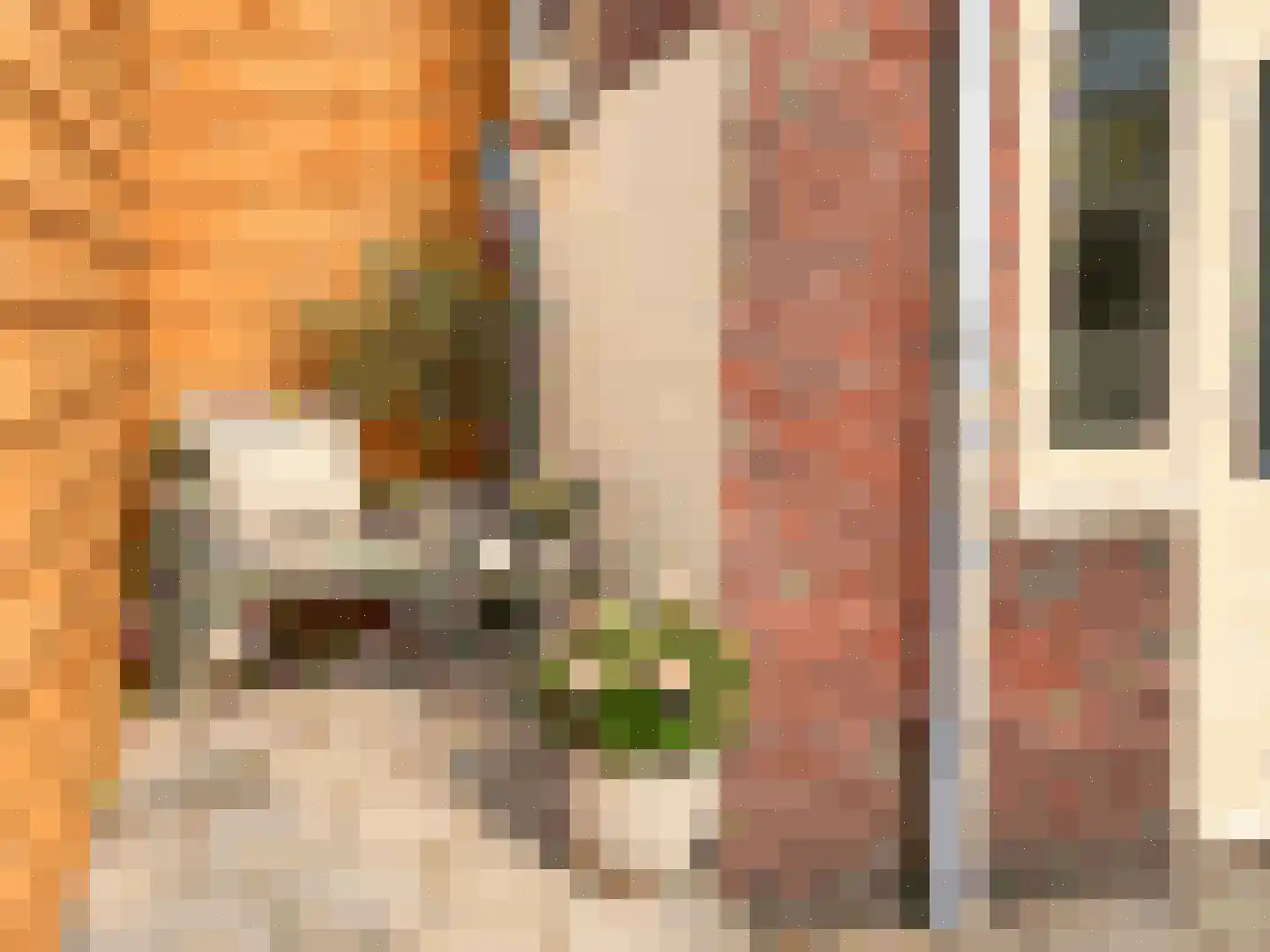 Langestraat 36 Leiden thumbnail 30