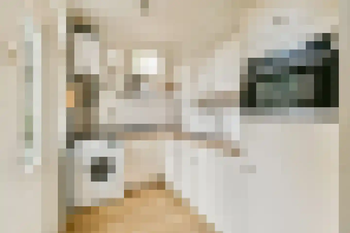 Langestraat 36 Leiden thumbnail 4