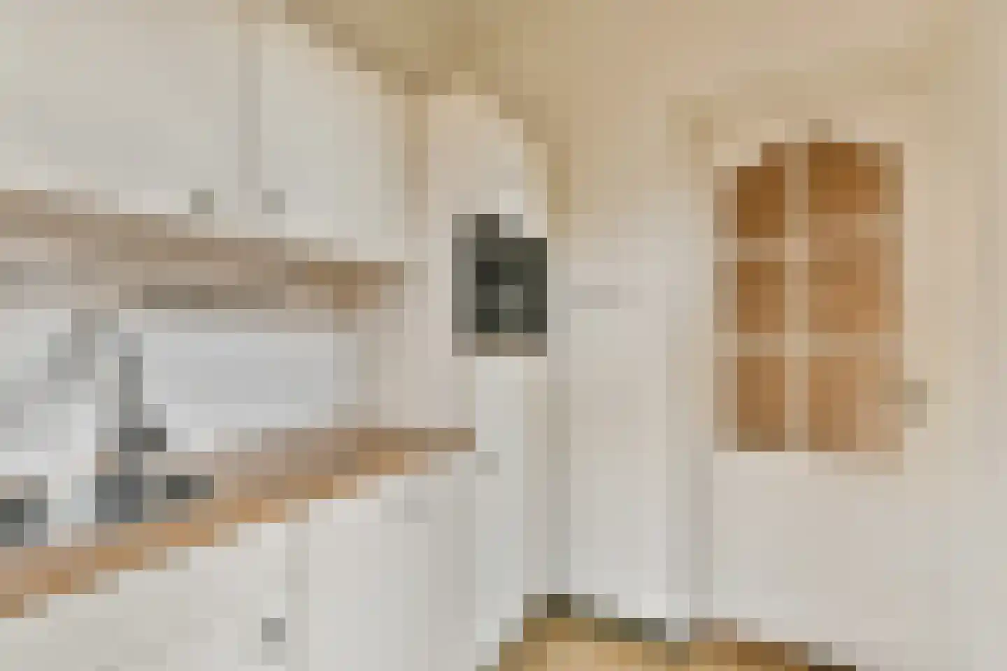 Langestraat 36 Leiden thumbnail 9