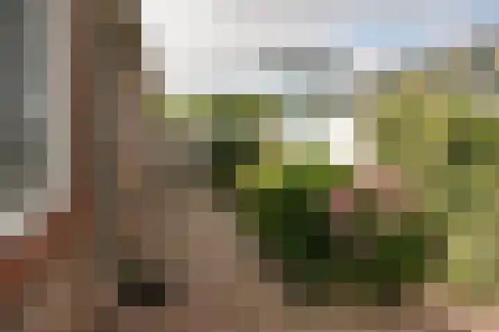 Langestraat 36 Oostburg thumbnail 28