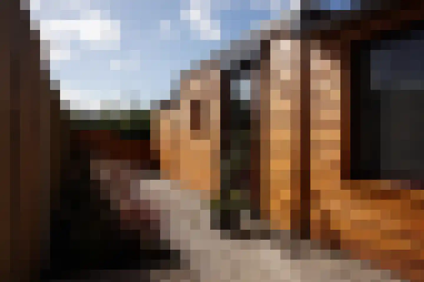 Langestraat 38 Oostburg thumbnail 26