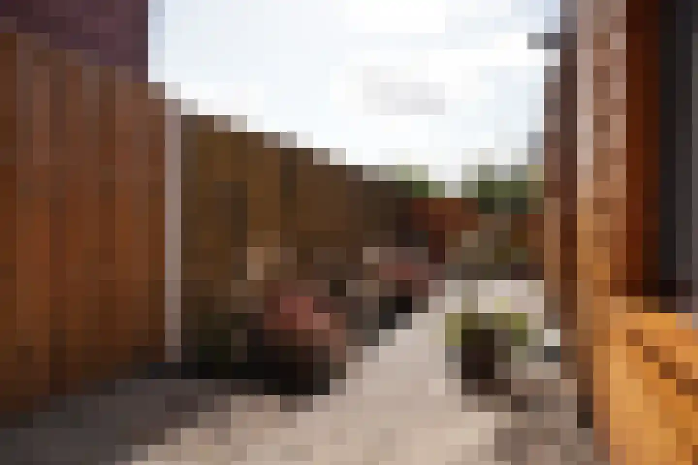 Langestraat 38 Oostburg thumbnail 27