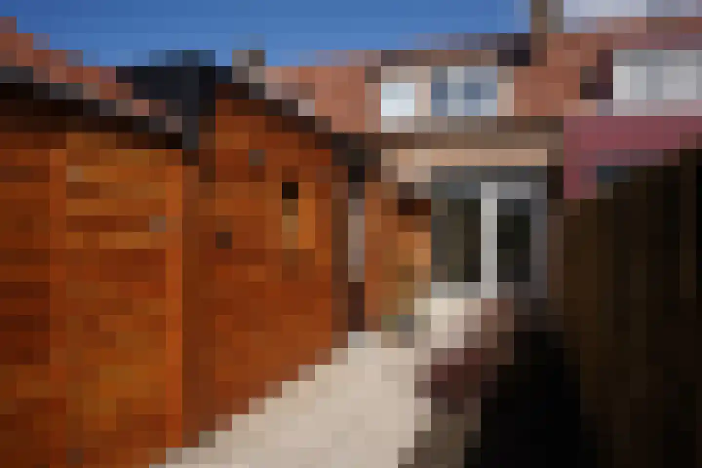 Langestraat 38 Oostburg thumbnail 28