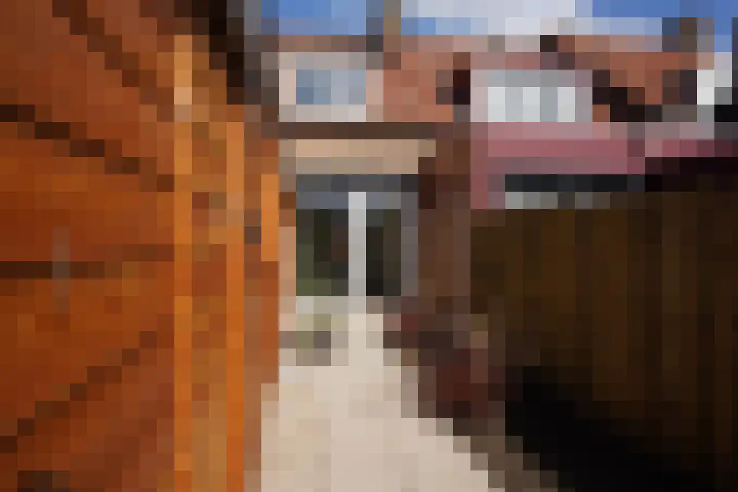 Langestraat 38 Oostburg thumbnail 29