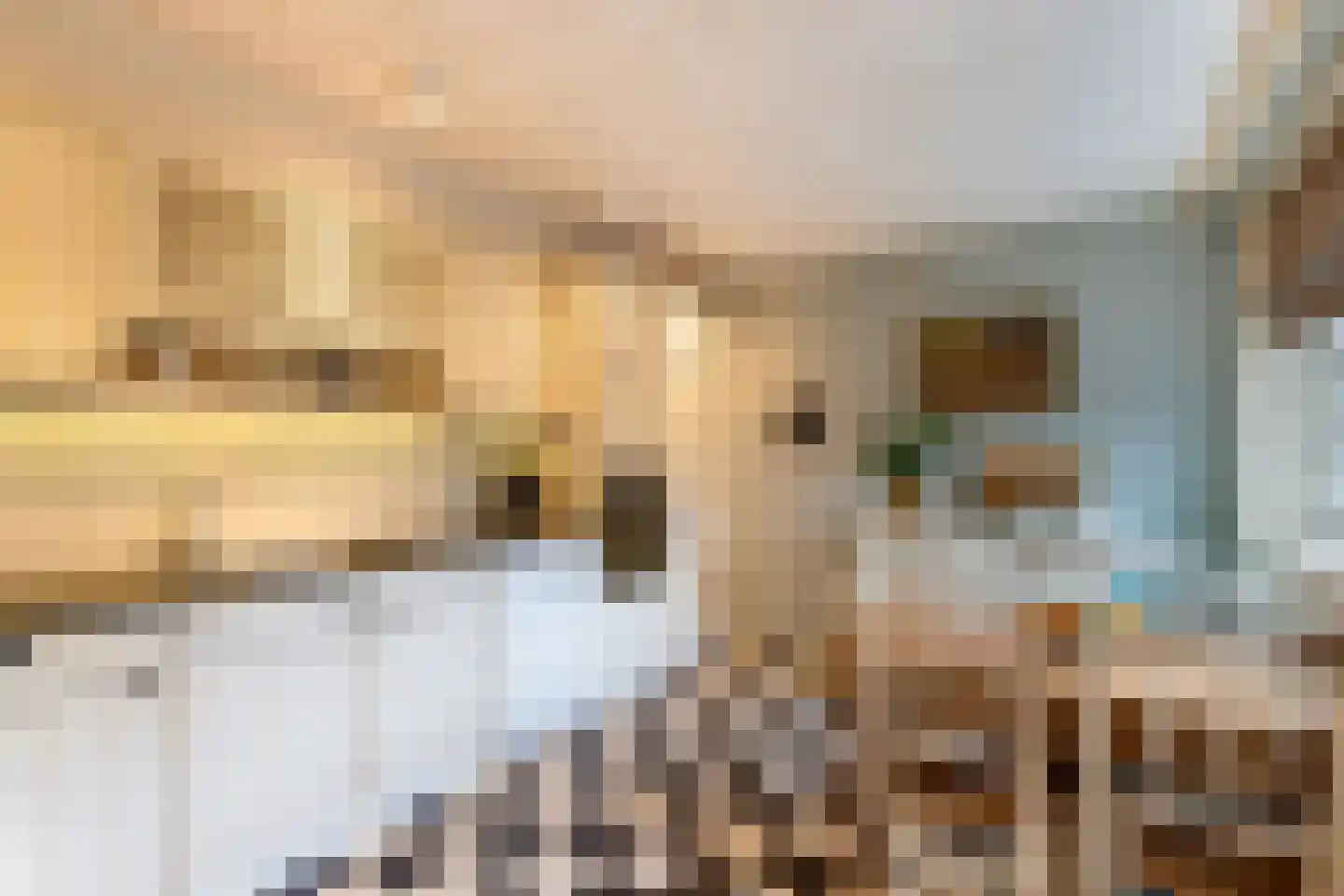 Langestraat 39 Huizen thumbnail 10