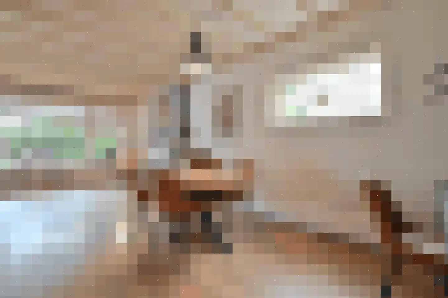 Langestraat 39 Huizen thumbnail 13